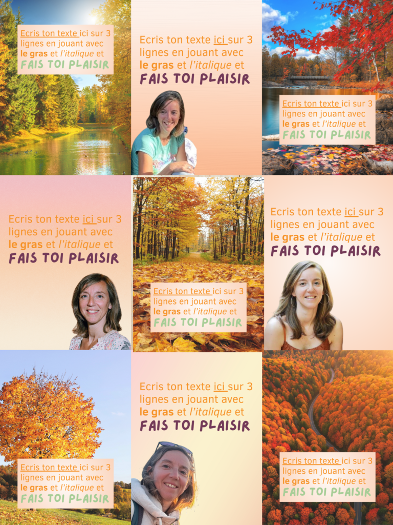 Template Aude Renson